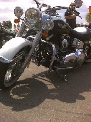 HARLEY DAVIDSON SOFTAIL 2000-2017 VARIKLIO APSAUGOS
